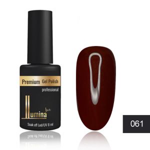 Lumina Lux №061, бордово-коричневый ― My Beauty